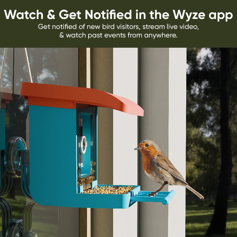 bird-feeder-wireless-camera-bundle-wyze-labs-inc-805116.jpg