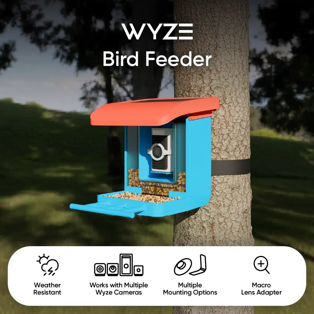 wyze-bird-feeder-wyze-labs-inc-9956182.jpg