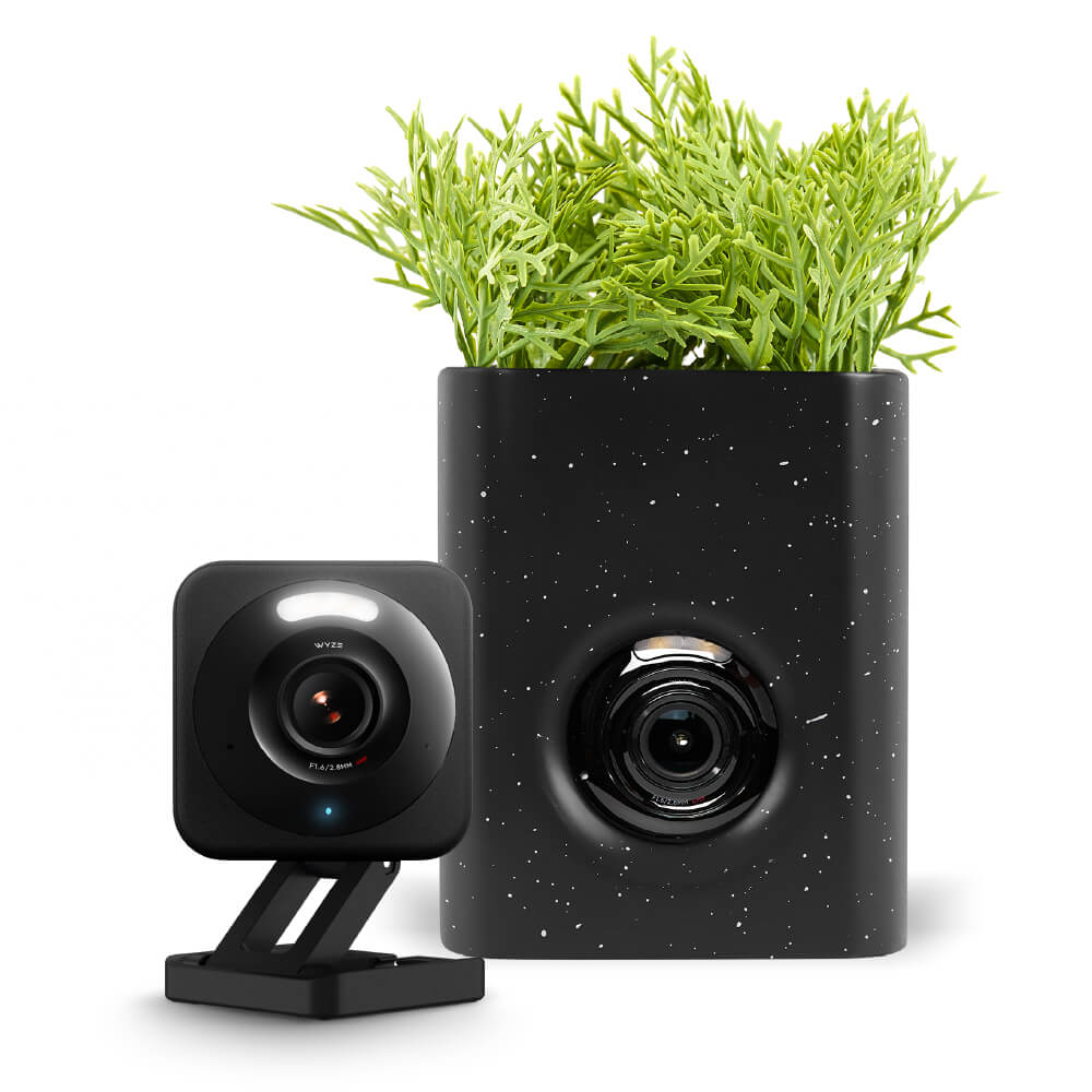 wyze-cam-vase-wyze-labs-inc-2759437.jpg