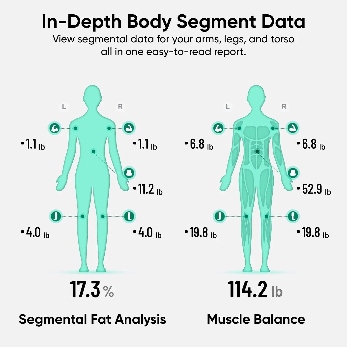 wyze-scale-ultra-bodyscan-wyze-labs-inc-5760867.jpg